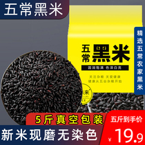 5-normal black rice 5 catties Heilongjiang Five cereals Cereals Rice New Rice Glutinous Black Rice 5 Normal Farmhouse Self-Growing Black Balsami Rice