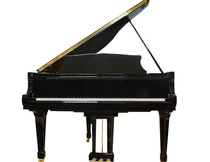  Shanghai piano live piano selection South Korea Japan Germany Europe and the United States imported vertical grand piano customization service