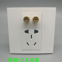 Type 86 multimedia surround sound two-head audio cable audio double-head 10A five-hole power wall socket panel