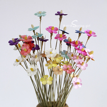 Violet Dried Bouquet Nordic Style Simple Small Fresh Hotel Living Room Home Decoration Ornament DIY Eternal Life Handmade