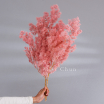 Penglai pine dried flower permanent flower diy material net red bouquet high-grade luxury home furnishings flower arrangement real flower branches