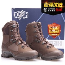 French public military version HAIX Brown all-season combat boots combat boots Foreign Legion GTX waterproof V bottom
