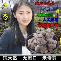 Yunnan Wenshan 20304060 head spring notoginseng non-special wild field seven 500g can be ground