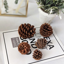 Pine Nuts Christmas Decorations Dry Fruits Primary Color Pine Towers Big fruit Christmas Trees Flowers Diy ingredients Goethe