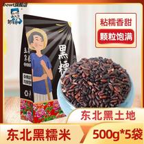 Northeast black glutinous rice 5 catties five grains miscellaneous grains farm new rice porridge raw grain coarse grains red blood glutinous rice purple rice black rice