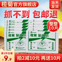 Lam chrysanthemum fly sticker strong sticky greenhouse indoor commercial rope
