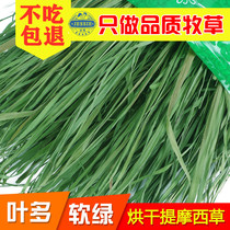 Drying Ti Moshe Grass Rabbit Grain Dry Lifting Grass Rabbit Food Young Rabbit Dutch Pig Dragon Cat Rabbit feed 500 gr