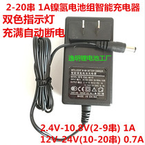 Ni-MH battery pack 2-20 string smart charger 2 4V-24V18V battery pack Ni-MH Ni-Cd 12V charger