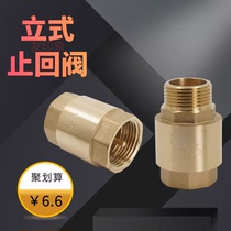 Brass vertical check valve check valve for water pump prevents water backflow 4 minutes 6 minutes 1 inch
