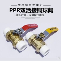 All copper PPR double-head living copper ball valve hot melt tube valve 20 25 32 4 minutes 6 minutes 1 inch double valve valve