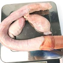 Northeast Jilin Changbai Mountain Mei Flower Deer Fresh Deer Whipped wine whole adult feuds 300 left and right set