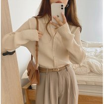polo collar V collar fall new inside and outside two-in-ins 100 hitch base Lean Pit sweater sweater jersey