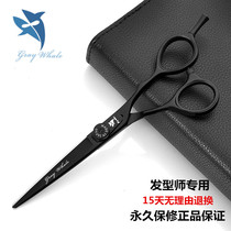 Japanese gray whale hair scissors Professional hair stylist hair scissors set flat scissors Incognito tooth scissors Thin scissors