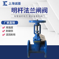 Z41X open Rod elastic seat seal soft seal flange gate valve fire tap water valve DN80 100 125 150
