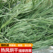 21 years new drying Timograss rabbit grain Dutch pig ChinChin rabbit feed supplies gross weight 1000g box