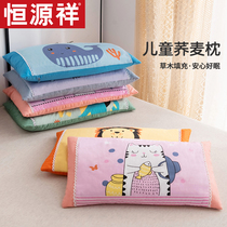 Hengyuan Xiang Children Buckwheat Pillow Four Seasons Universal Sweet Buckwheat Shell Summer Kindergarten Baby Cartoon Pillow Core Students