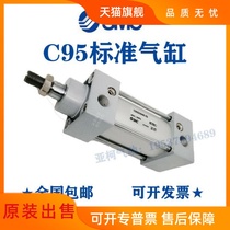 C95ST CP95ST C95SDT80 CP95SDT80-25 50 75 100 125 standard cylinder