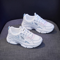 Daddy shoes womens shoes 2021 New Korean version of Joker small white shoes autumn and winter style plus velvet sports two cotton shoes women Spring