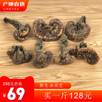  Guizhou pure wild long-handled red ganoderma lucidum whole Xiaolinzhi deep mountain can be sliced powdered soaked wine dry goods 250g branch tea