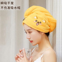 Dry hair hat female super absorbent quick-drying bag headscarf shampoo adult hair towel artifact 2021 new shower cap