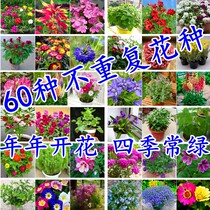  Flower seeds Four seasons sowing Indoor potted plants Balcony flowering plant combination package Courtyard sprinkling flower seeds