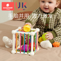 Cole Baby Toys 9 months Baby Early taught 6 months 0 1 year old Sese Puzzle Music 1 year 8 months old