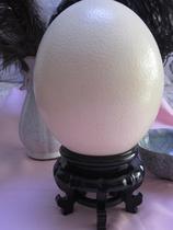 Ostrich eggshell base Camel bird emu egg carving crafts placement egg holder Crystal ball stone gourd tray shelf