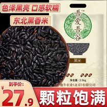 Black rice grains 5kg Northeast Wuchang Nongjia five grains grain grain oil rice noodles New coarse grain Heilongjiang purple rice