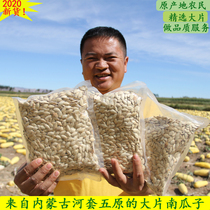 Large raw pumpkin seeds New Inner Mongolia original farm white skin melon seeds gourd seeds 1500g