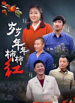 Years of persimmon red dvd disc full version of rural emotional love TV drama CD Wang Xihua Shen Hang