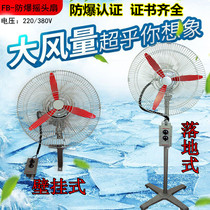 Explosion-proof fan FB-500 600mm BTS Explosion-proof wall fan Wall fan Moving head fan Explosion-proof floor fan