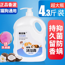 Dog shower gel bath supplies acaricidal sterilization deodorization antipruritic Teddy golden hair special liquid pet shampoo