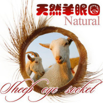Mens utensils Sheep Circles Mens Special Health Products Adult Products Mens Masturbation