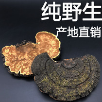 (Source Baozheng)Pure Changbai Mountain wild mulberry and yellow tyrant Fragrant mulberry and yellow mulberry and yellow ganoderma lucidum dried products