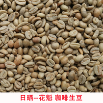 2021 season flower ROI Sun treatment G1 Guqi hanbella production area imported coffee raw beans 1000 grams