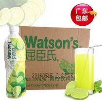Guangdong Watsons lime beverage thick pulp Watsons lime juice concentrated lime juice 750ml * 12