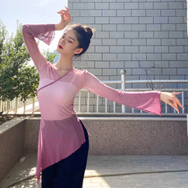 The Chinese classical dancing body rhyme jian bian sha clothing Art dance costume female elegant antique lian gong fu show dance tops