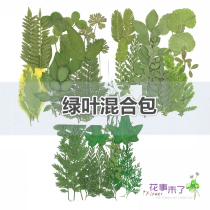 Dried flowers and leaves embossed childrens handmade materials Plant specimens Green leaves and petals makeup photo bridal makeup shooting props
