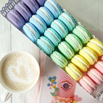 Food Photography Photo Props Simulation Macaron Model Wedding Dessert Table Fake Cake Decoration Window Decoration