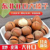 Northeast hazelnut Wild hazelnut original nut new goods fried without adding Open hand peeling Northeast Hazelnut specialty