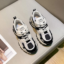 Fashion Street shooting color picture panda shoes Net red super fire leather dad shoes thick soles casual shoes