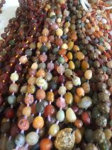 The direct sowing of the 1-Yuan link between the two