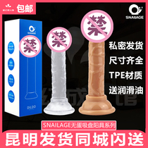 SNAILAGE No egg suction cup male root transparent mini emulation small CUHK fake Mothers rear court Kunming shipping