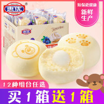 Lactic acid bacteria steamed cake children's sandwich pastry health snacks primary school students nutrition bread breakfast not irrigated