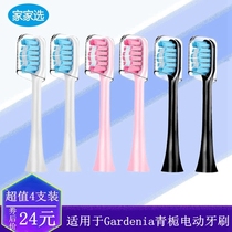 Home choose electric toothbrush head suitable for Gardenia green Zhi Sonic adult qtb1101 replace hard soft hair