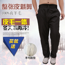 Winter cold and warm pants high waist elderly wool pants leather thick sheepskin cotton pants leather wool men and women