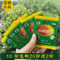 Gongcheng concentrated Camellia bottom material Guangxi Guilin 12 grams bagged can be boiled 3-4 bowls of Shuangshen soup hot pot bottom material