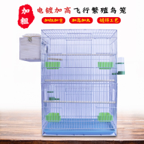 New plus coarse large number plus high breeding cage parrot tiger Pig 8 Gothic Pigeon Galvanized Metal Flying Bird Cage