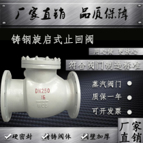 H44H-16C cast steel carbon steel WCB flange swing check valve high temperature resistant steam check valve D50-800
