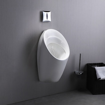 Urinal bathroom Pattio wall urinal K-18645T sensor 8791 set